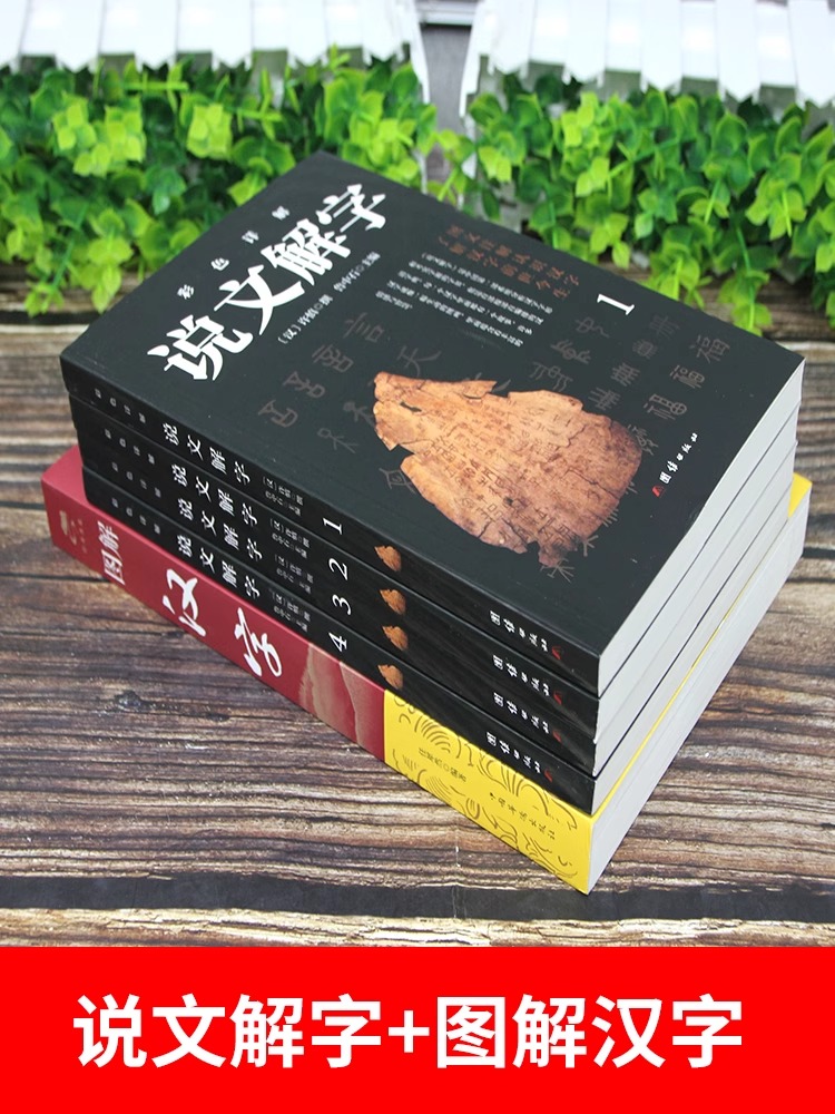 [正版]说文解字图解汉字全5册古代汉语字典古文字字典咬文嚼字细说汉字的故事图解图解详析今释全版说文解字大全集注解国学经高清大图