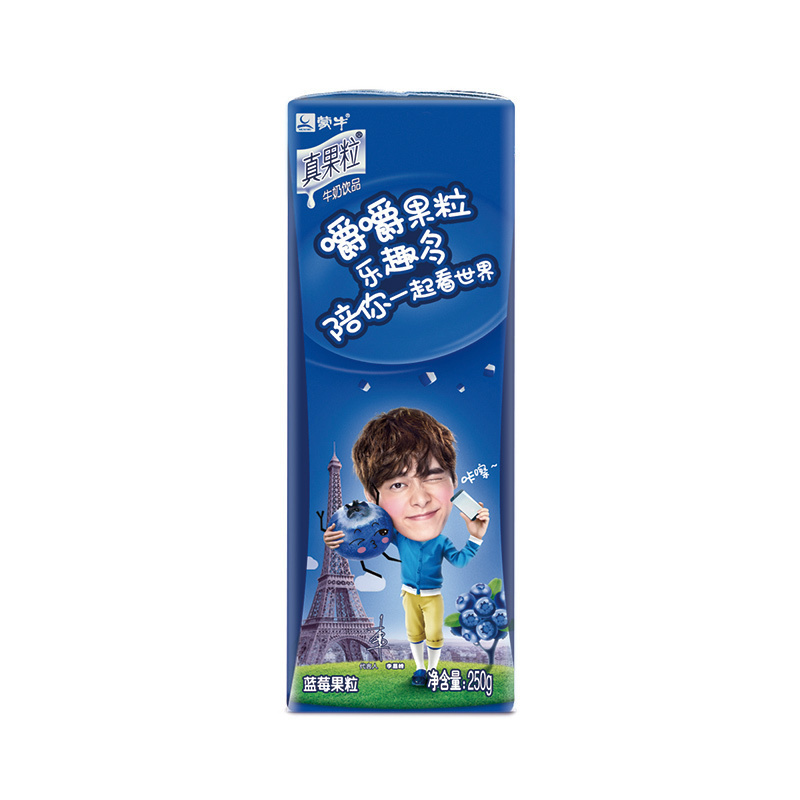 蒙牛 真果粒牛奶饮品(蓝莓)250ml*12盒