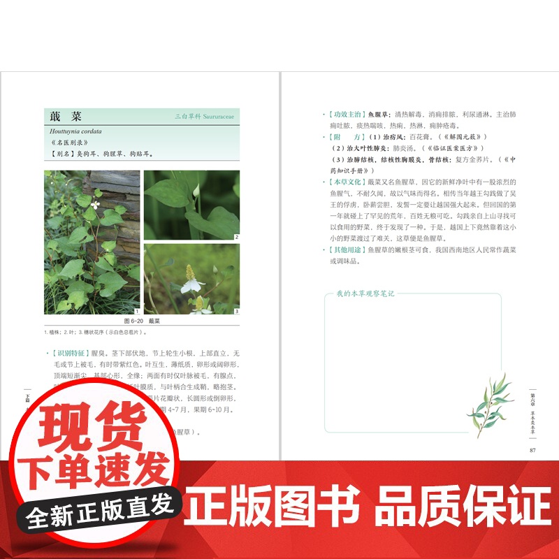 [店]本草观察手账 中草药本草 观察手账 记录笔记 本草博物文高清大图