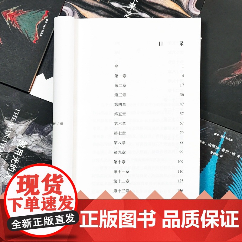 爱伦·坡小说全集:阿·戈·皮姆历险记 爱伦·坡唯一长篇小说历经千险也未磨灭的远航之梦 梅尔维尔《白鲸》灵感来源外国长篇小高清大图