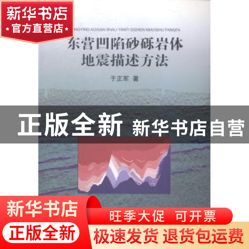 正版 东营凹陷砂砾岩体地震描述方法 于正军著 中国地质大学出版高清大图