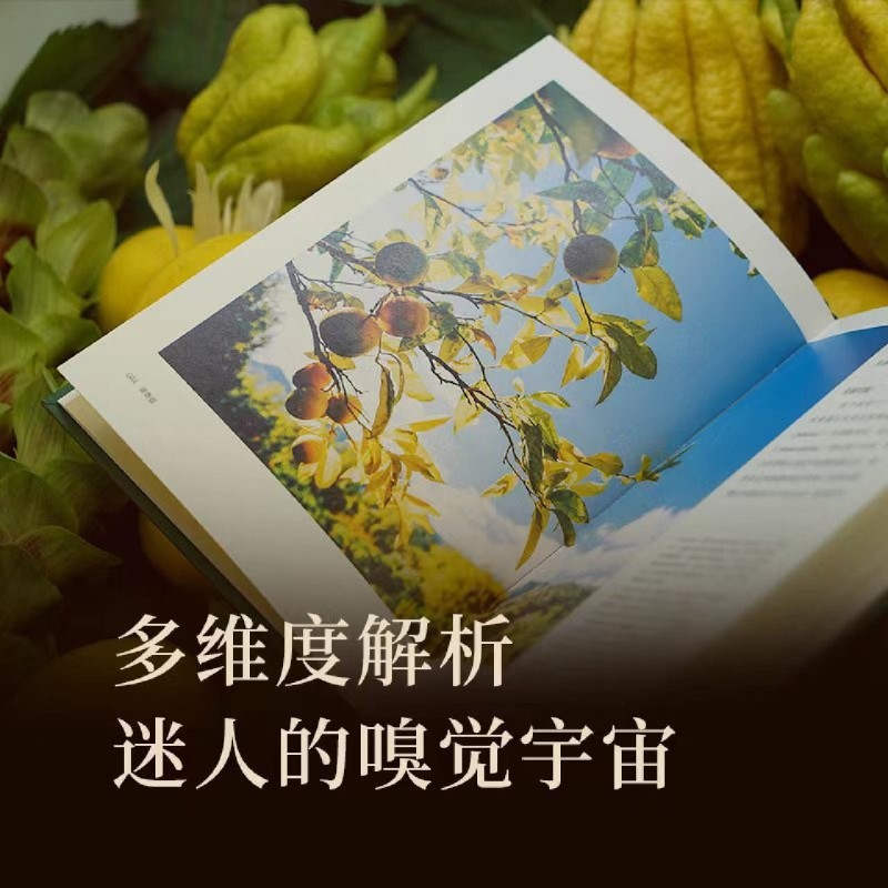 调香盘 [正版]调香盘高清大图