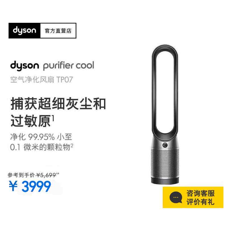 戴森 DYSON TP07净化风扇 整屋循环净化 兼具空气净化器电风扇功能 黑镍色