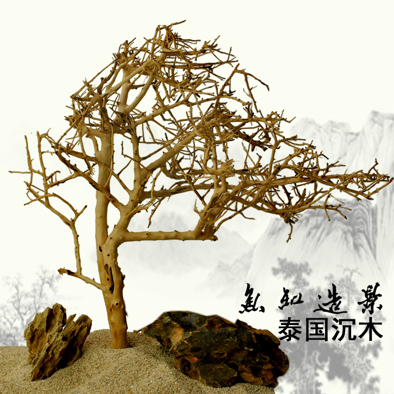 泰国沉木 树枝沉木 树形流木 水缸 莫丝树 鱼缸造景树根杜鹃根高清大图