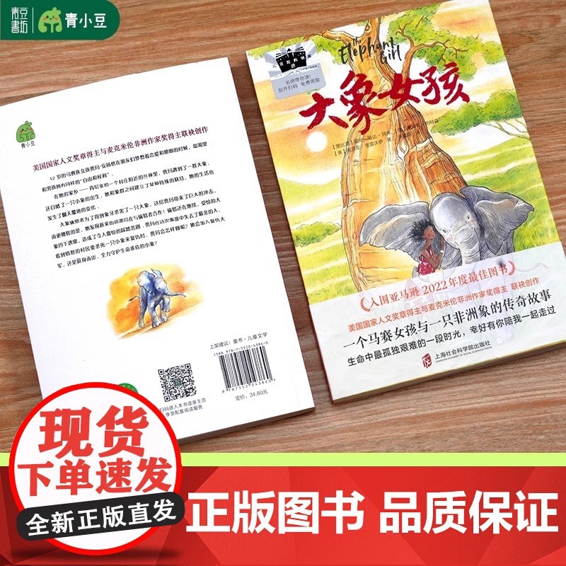 大象女孩 2024百班千人暑期书目小学生6年级名师 一个马赛女孩与一只非洲象的传奇故事女孩成长孤独艰难人与自然大奖作家高清大图