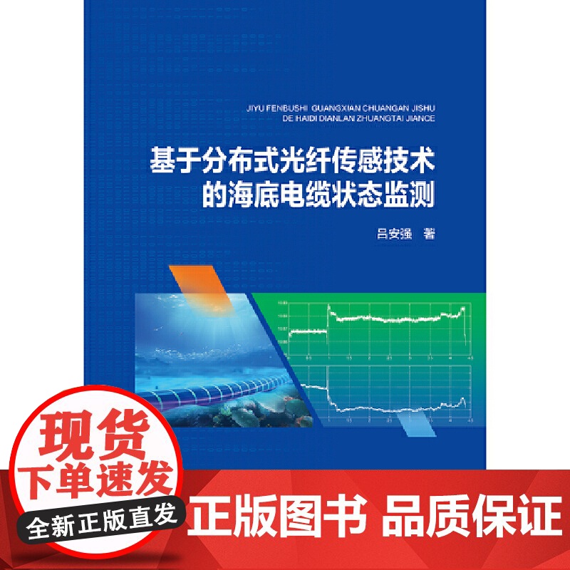 基于分布式光纤传感技术的海底电缆状态监测高清大图