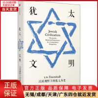 [正版]全新 犹太文明 比较视野下的犹太历史 历史/历史知识读物 9787508697055