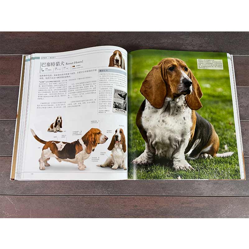 [醉染正版]dk狗百科 名犬百科 科学饲养 养狗全攻略书籍 宠物狗图鉴大全 懒人养宠速成手册 狗狗大百科 饲养狗狗书籍高清大图
