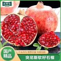 【苏鲜生】 会理突尼斯软籽石榴 净重5斤 大果 单果300-400g 鲜孕妇水果 坏果包赔