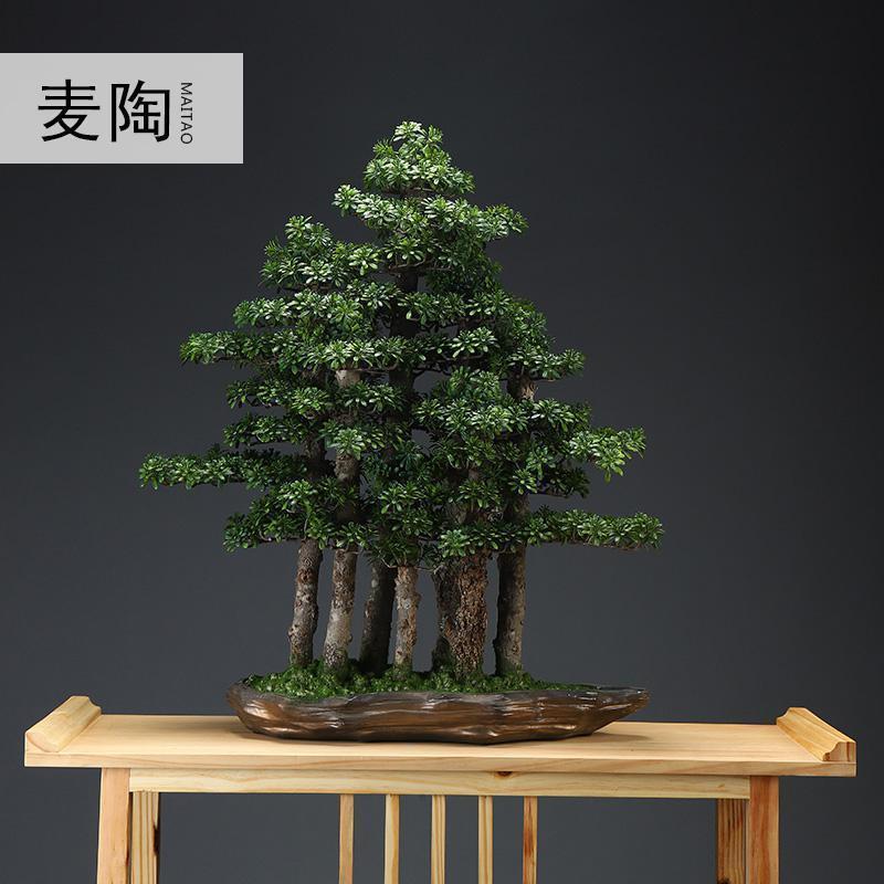 仿真新中式迎客松盆景绿植客厅酒店家居玄关装饰品样板间软装摆件_787