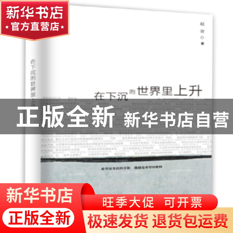 正版 在下沉的世界里上升 赵青著 百花洲文艺出版社 978755002515
