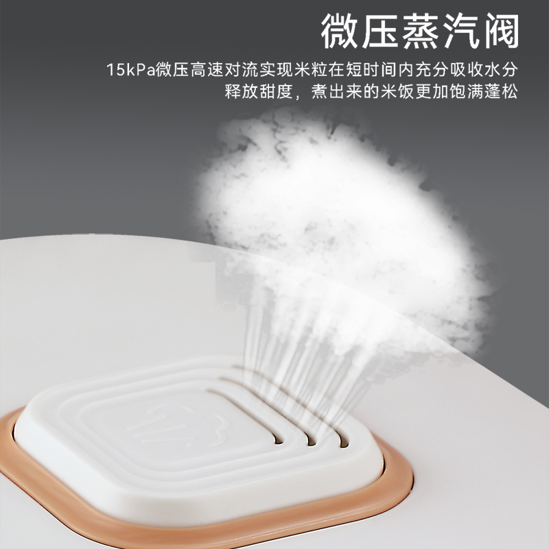 艾贝丽 3L 智能电饭煲 ABL-FBZ31高清大图