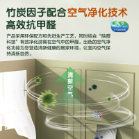 多乐士致悦竹炭抗甲醛抗病毒无添加全效乳胶漆油漆涂料A740S套装15L
