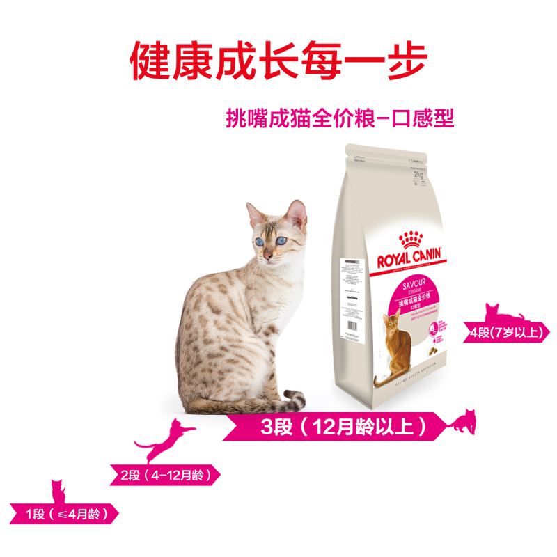 royal canin 皇家宠物食品 全能优选成猫粮-口感型2KG
