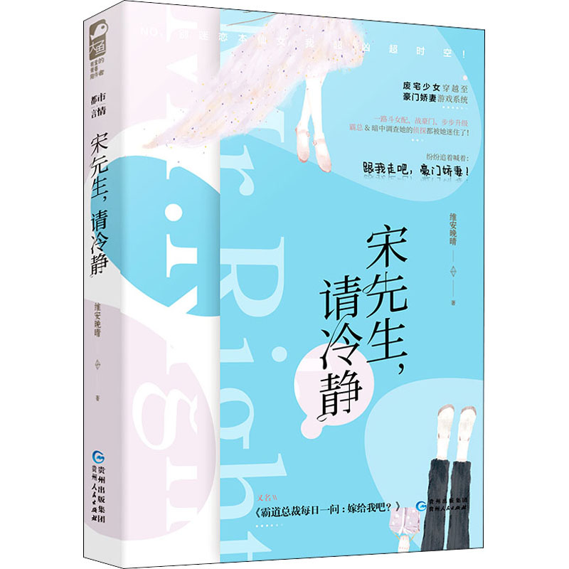 宋先生,请冷静 维安晚晴 著 文学 文轩网