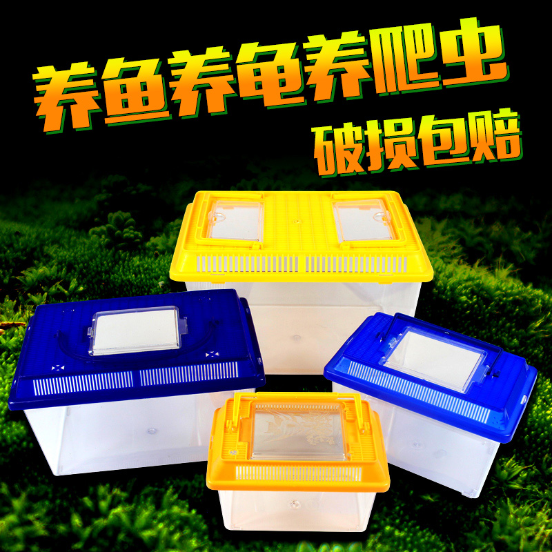 诺摩 手提式方形塑料乌龟缸鱼缸爬虫蜘蛛螃蟹小蝌蚪金鱼饲养盒高清大图