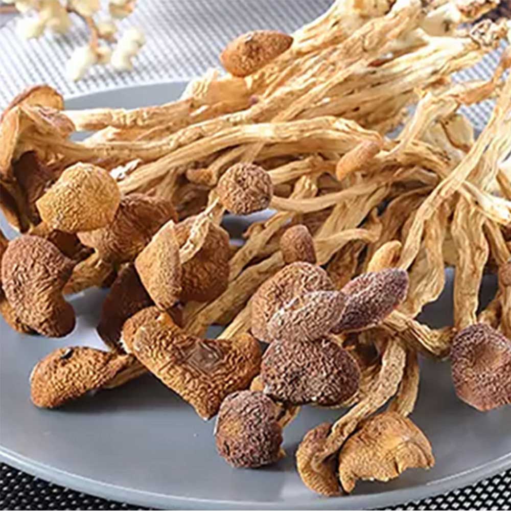蕴康祥缘茶树菇168g 不开伞茶树菇农家精选干货菌菇食材食用菌高清大图