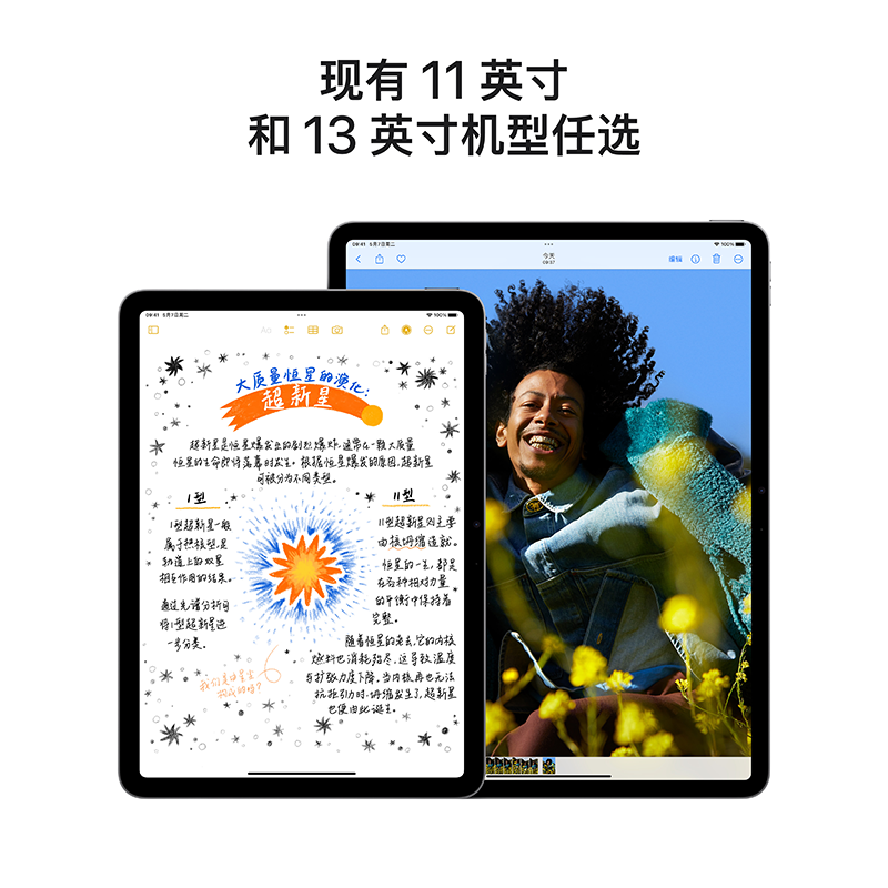 Apple iPad Air 紫色 2024款 512GB 11英寸 M2芯 WiFi 苹果平板电脑