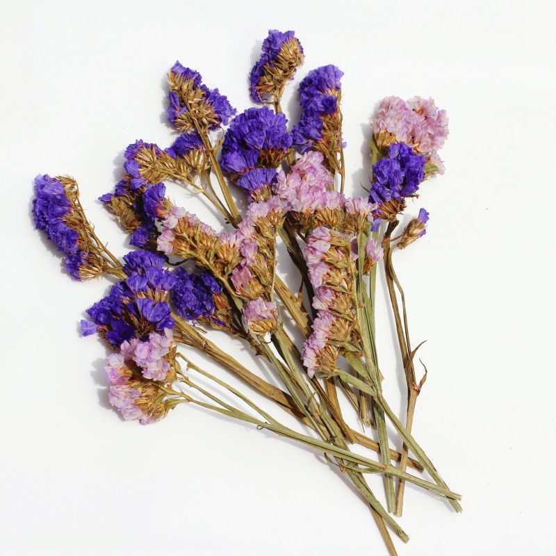 干花材料包创意手工diy小清新家居幼儿园装饰勿忘我