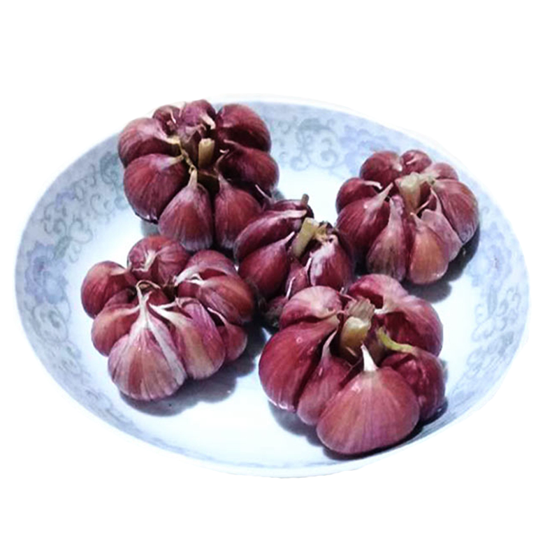 博多客叶菜类报价_参数_图片_视频_怎么样_问答-苏宁易购