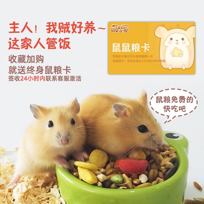 仓鼠活物疫苗花枝鼠公婆鼠金丝熊 运输盒(无仓鼠) 公