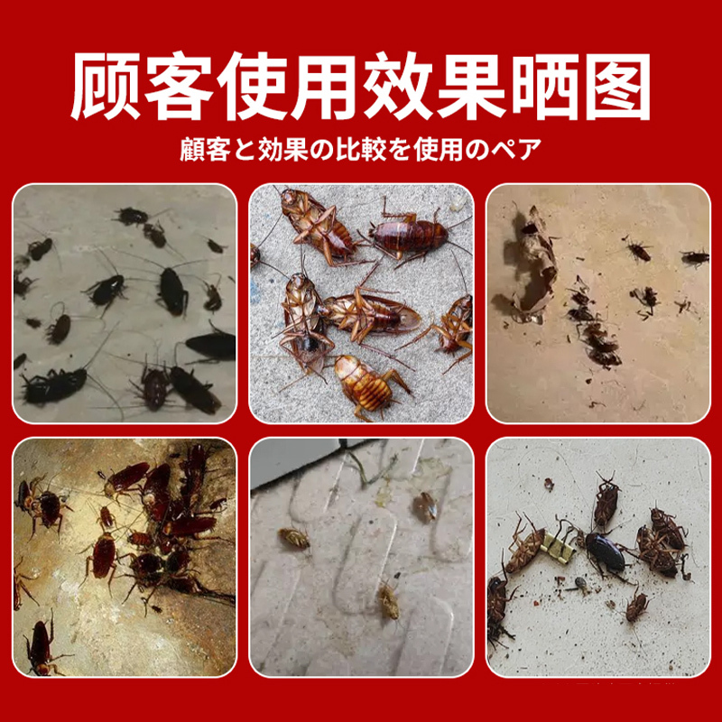 灭杀蟑螂药家用正品全窝端非无毒屋胶饵厨房强力灭除小强神器2014