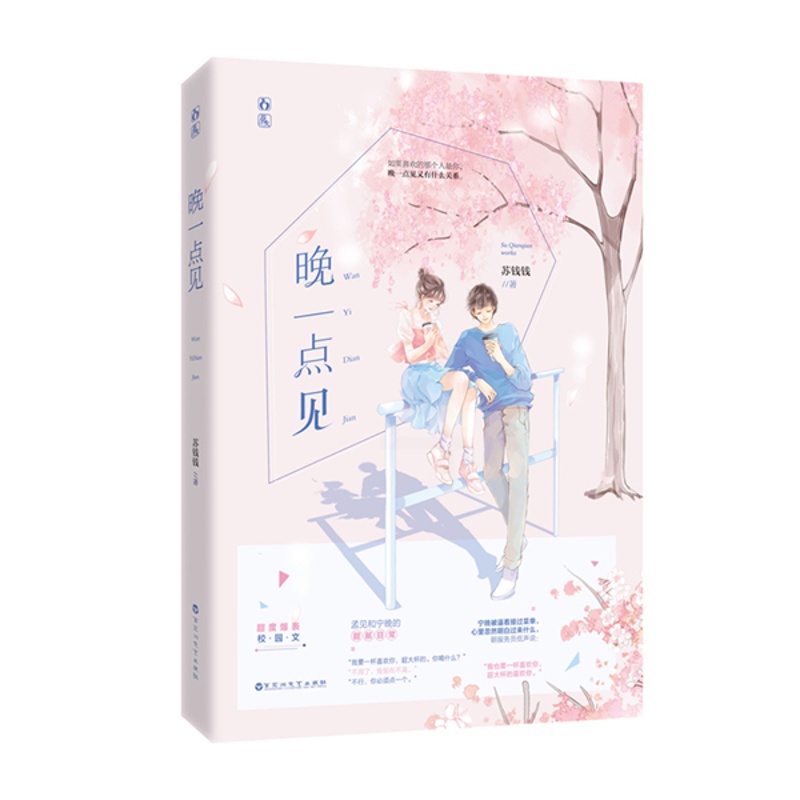 [醉染正版]正邮 晚一点见 苏钱钱 百花洲文艺出版社 都市小说书籍 江苏书高清大图
