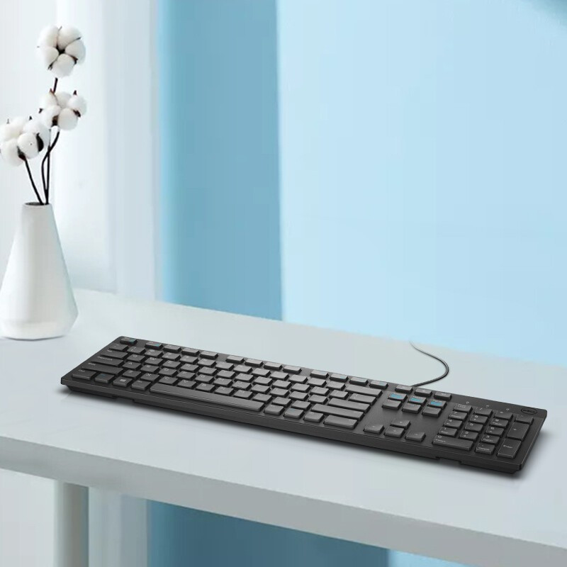 戴尔(DELL)KB216 有线 多媒体键盘 办公键盘 标准104键 即插即用 键盘 黑色高清大图