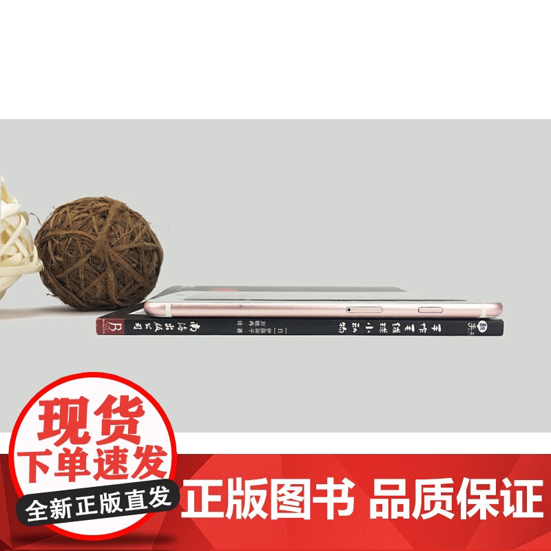 手作毛绒球小动物 仿獭兔毛球DIY手工制作 儿童早教益智玩具 萌宠挂件装饰材料 亲子手工创意礼物 正版书籍高清大图