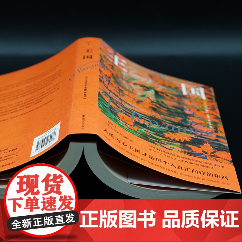 王国 守望者·文学 (法)埃马纽埃尔·卡雷尔 译者 骜龙 法国文学 历史小说 社会学正版书籍 南京大学出版社高清大图