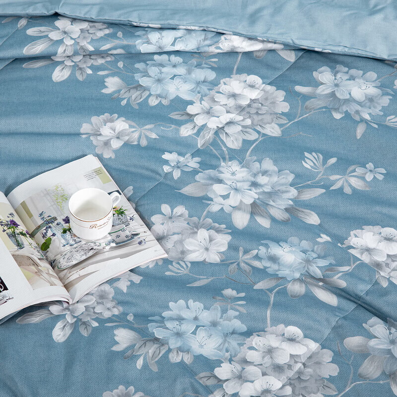 水星家纺 空调被夏凉被子七孔纤维夏被子约1600克200*230cm蓝高清大图