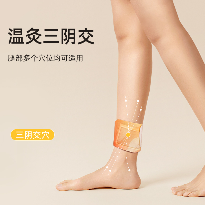 元气达人•三阴交贴高清大图