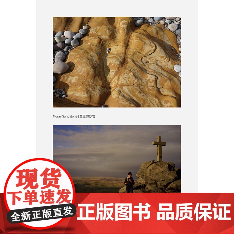 岩上时光 自然文库 [英]安娜·弗莱明 著 商务印书馆高清大图