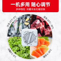 星星(XINGX) 303升 全新精铜管 卧式冷柜 单温长寿命 预涂内胆 均匀制冷 冷冻 冷藏 BD/BC-303GT