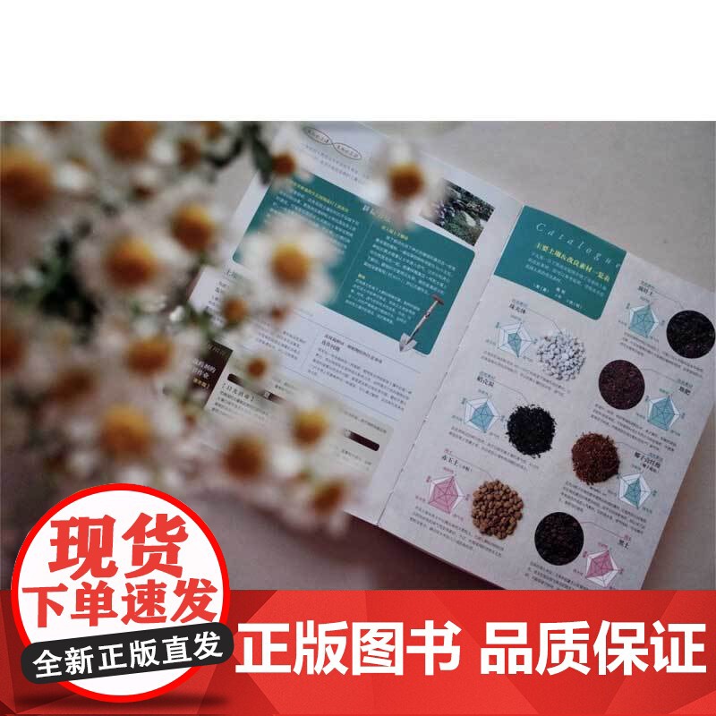 专家写给初学者的园艺技巧 日本FG武藏 编著 家居高清大图