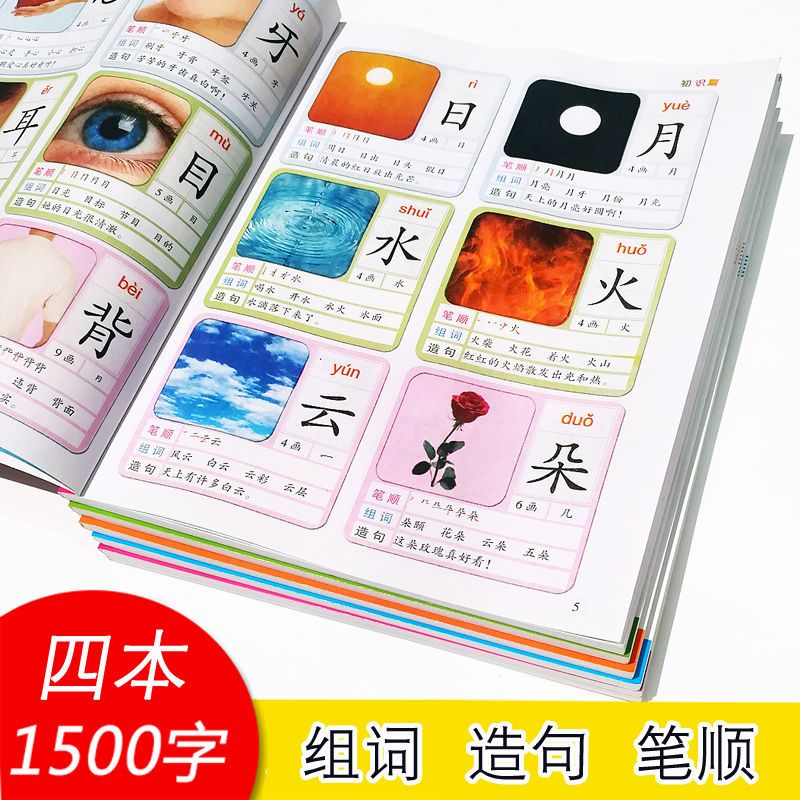 学前识字书看图认字笔顺幼儿童宝宝早教书籍学前班大班幼儿园教材 识字大王848字