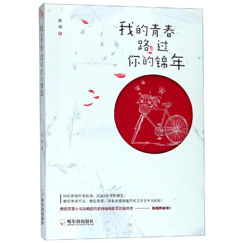 我的青春路过你的锦年