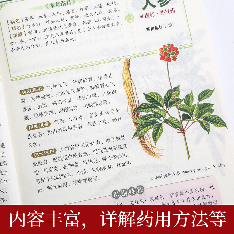 [友一个正版]赠视频+穴位图 李时珍本草纲目原版全套彩图版 中医书籍大全中药草药图解大全图书 中医基础理论书医学类书籍高清大图
