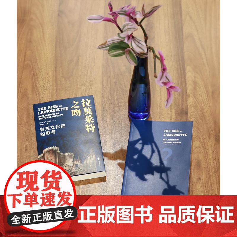 拉莫莱特之吻有关文化史的思考 历史之眼罗伯特·达恩顿著萧知纬译上海教育出版社宏观历史人文领域高清大图