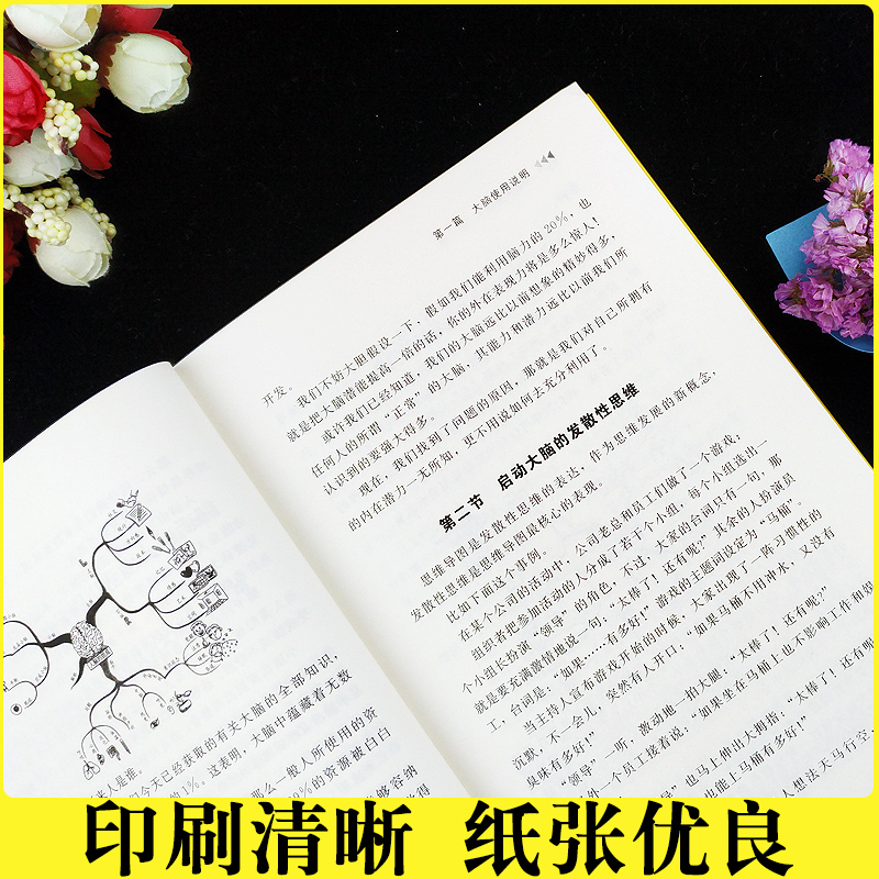 [正版] 逻辑学书籍思维导图 大脑使用说明书 教你简单快速有效的提升记忆快速提高左右脑思维和技巧智慧逻辑思维训练书籍排高清大图
