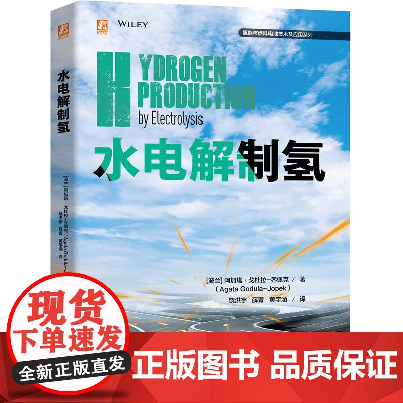 水电解制氢 阿加塔 戈杜拉 乔佩克 燃料电池 燃料电池汽车 氢能 制氢 9787111750482 机械高清大图