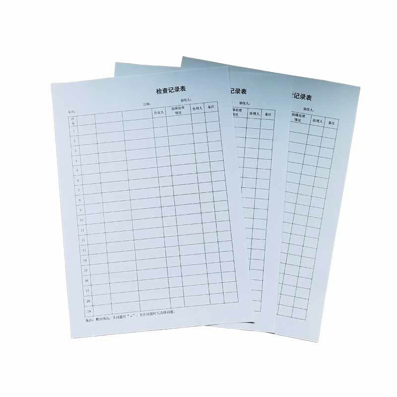 检查记录表 A4 张高清大图