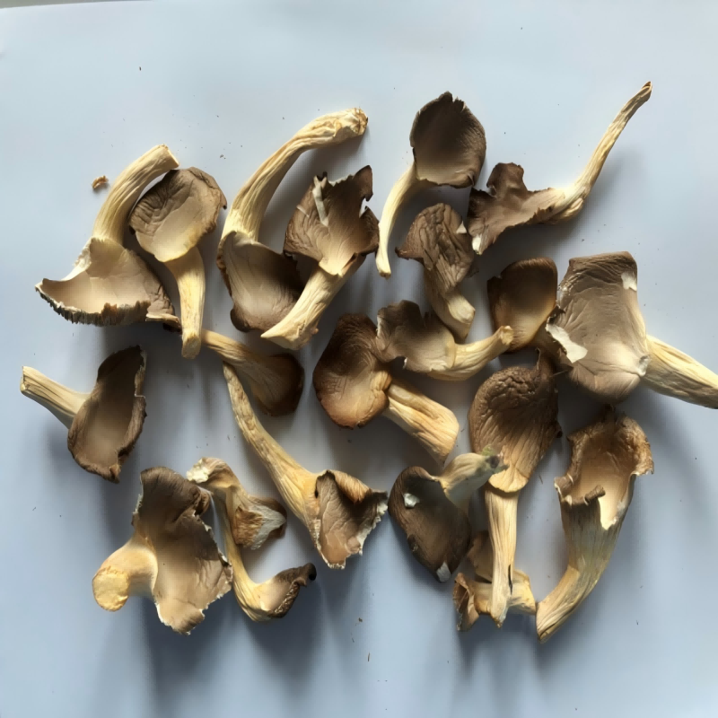 罗中福罗源秀珍菇 菇中珍品 天然美味高清大图