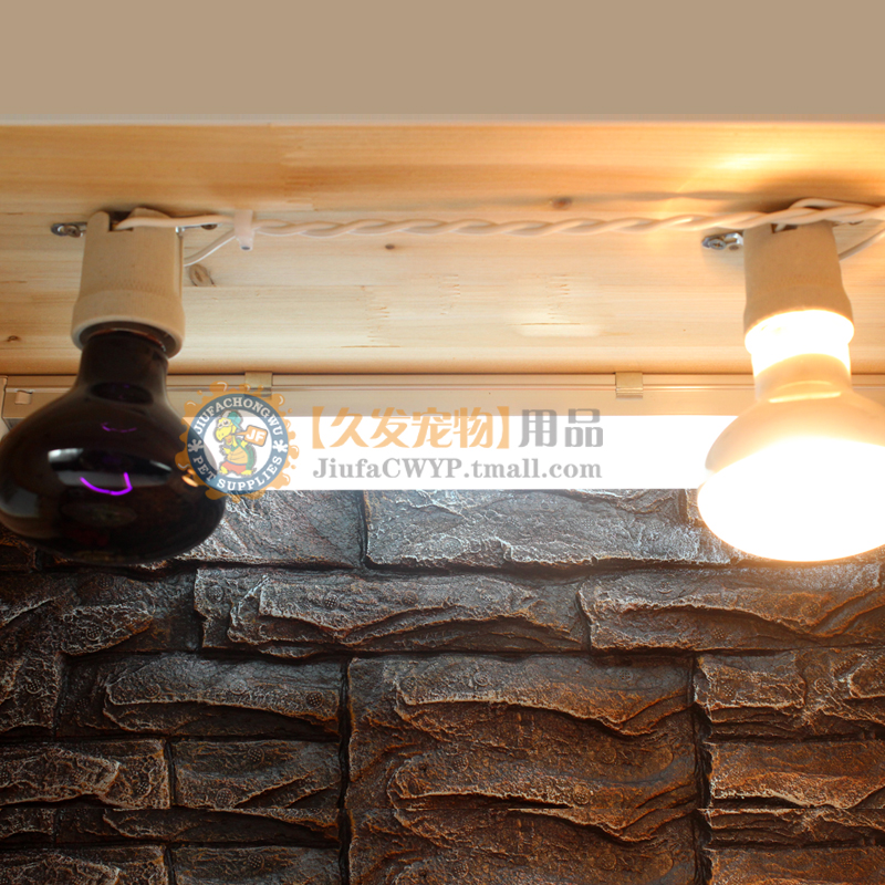 爬虫陆龟箱加热灯加热灯uva保温灯蜥蜴蛇夜灯鹦鹉刺猬爬宠夜间灯高清大图