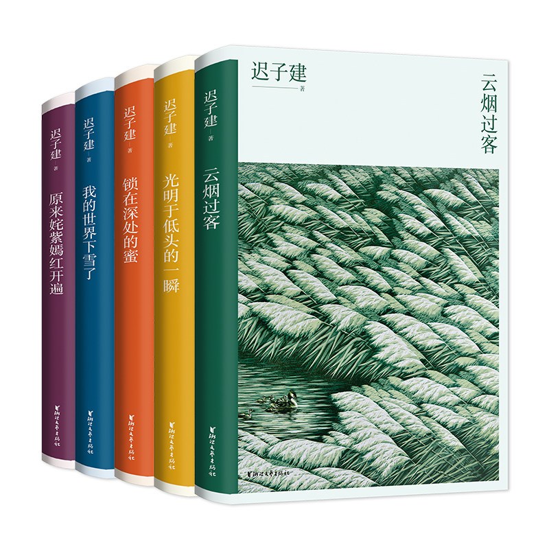 [友一个正版]迟子建散文典藏版全5册 茅盾文学奖得主迟子建散文自选集我的世界下雪了原来姹紫嫣红开遍云烟过客光明于低头的