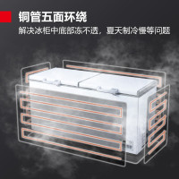 德玛仕(DEMASHI) 冰柜商用 大容量冷藏冷冻转换柜 保鲜冰箱家用 卧式冰柜展示柜 卧式冰柜BD-680(220V)