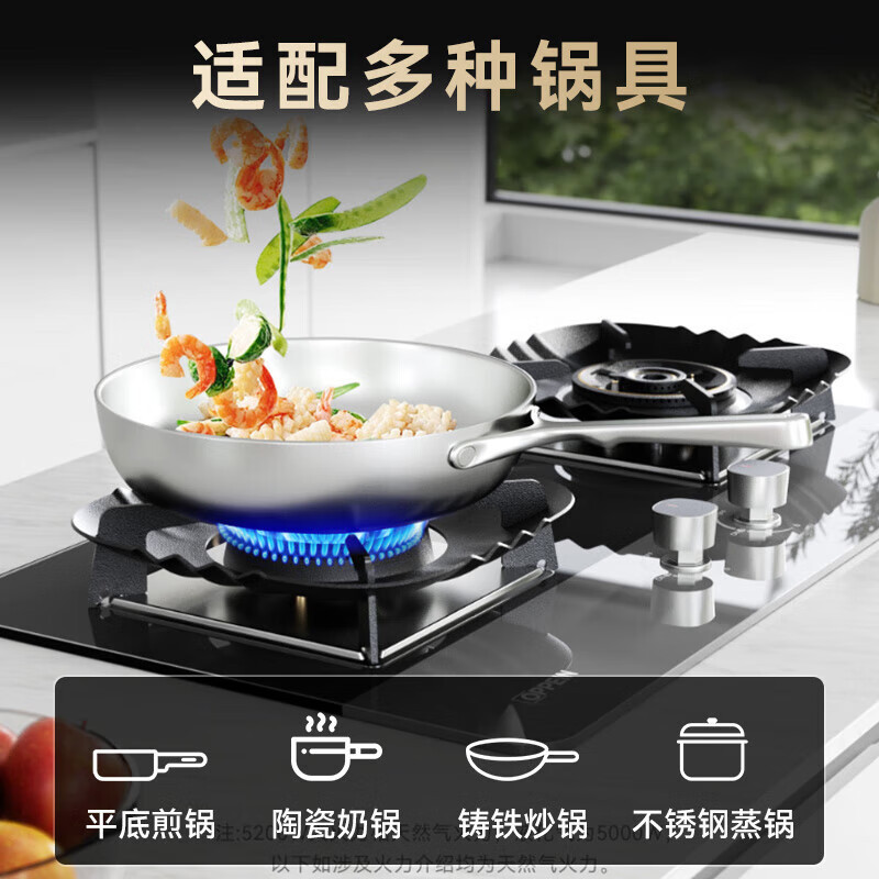 欧派燃气灶XZF103液化气热效率70%高清大图