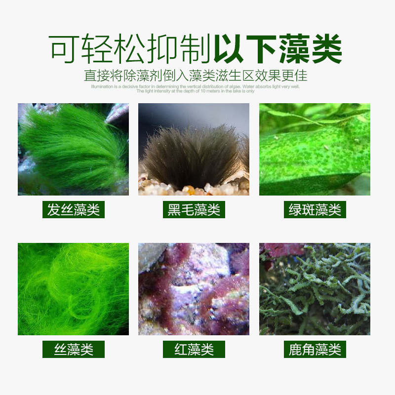 鱼缸除藻剂除青苔不伤鱼去苔剂除绿褐丝藻黑毛去藻绿水除苔素高清大图