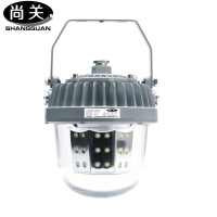 尚关(SHANGGUAN) 泛光平台灯SQ-Z24 AC220V LED 60W