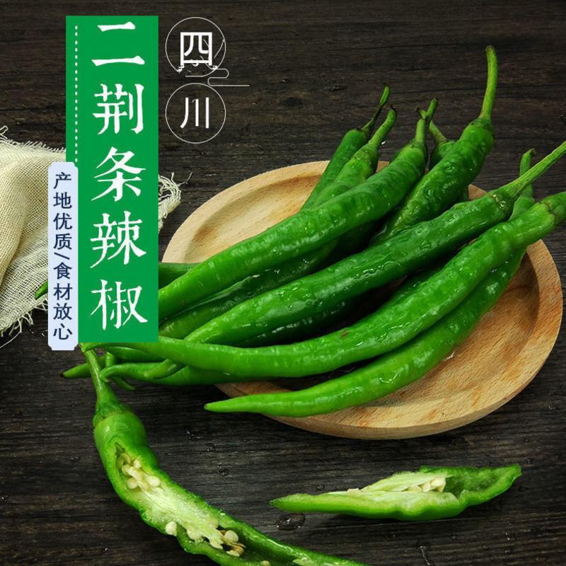 赛卡伊四川露天青辣椒二荆条线椒当季新鲜蔬菜农家自种青椒条子辣椒现